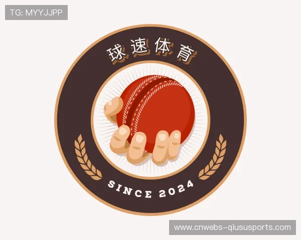 认识球速体育公司